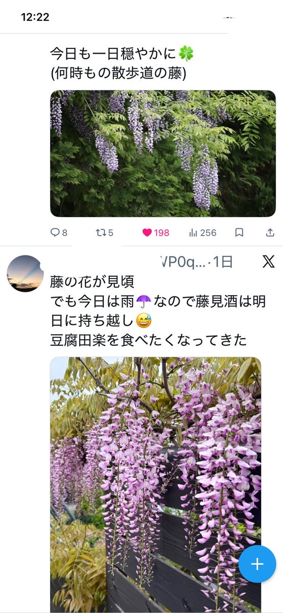 キャンママ tweet media