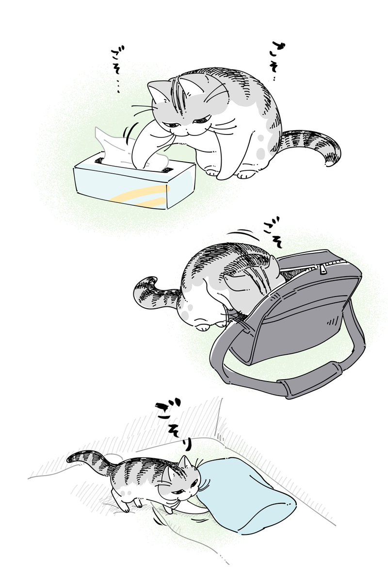 キュルZ tweet media