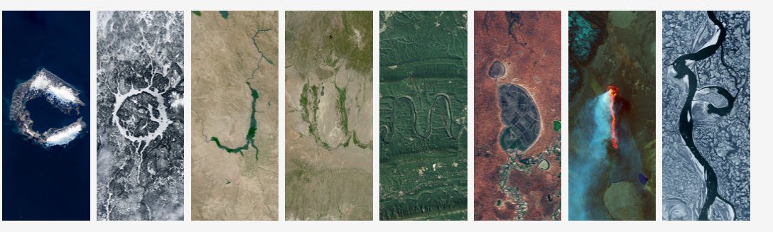 Dami 🌌 tweet media