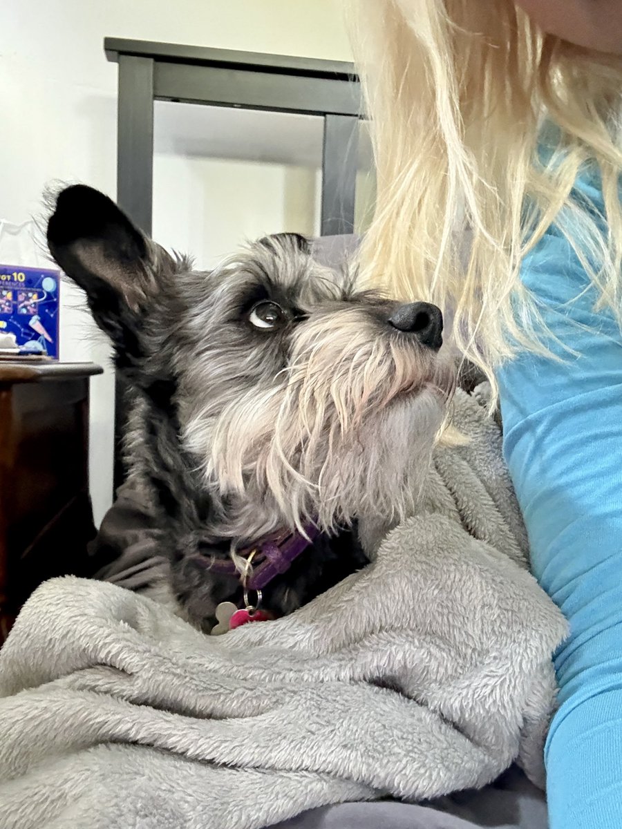 AnneScottlin's tweet image. 🤒 Sick this week, but Daisy just stays next to me on for hours… the best medicine. 😊
#dogs #getwell #love