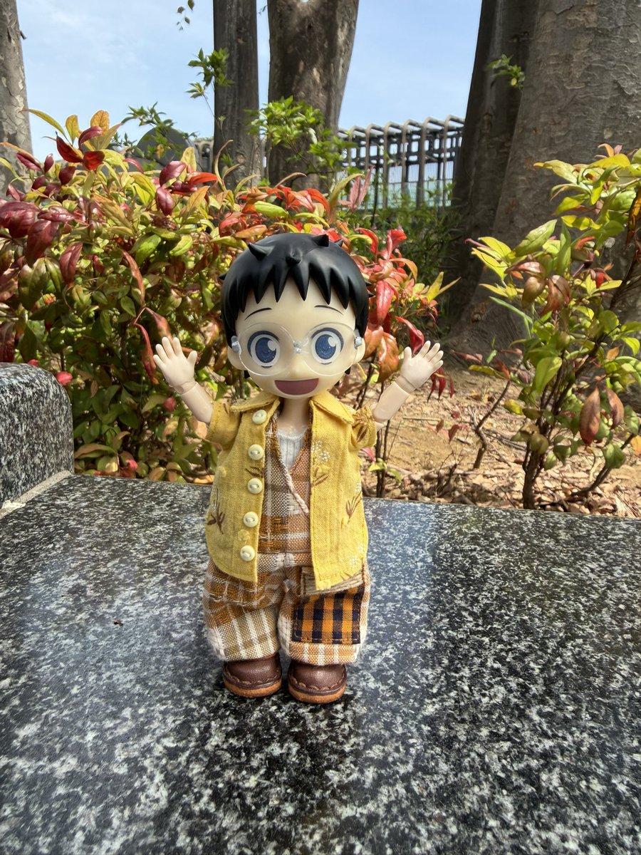 おはようございます！
きんようび！

金曜⭐️きらきら✨
#おはよう坂道くん