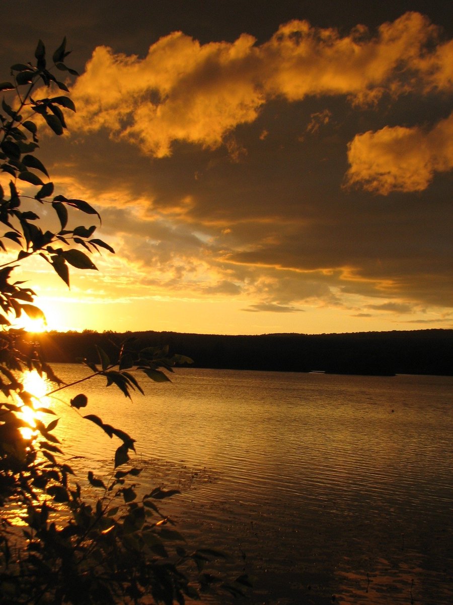 mcmulle1's tweet image. Have a great night!🤩 A beautiful sunset on our lake!🤩 #sunset #sunsetphotography #thursdayvibes