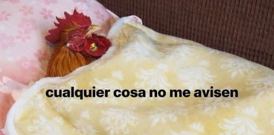 Salvador Iglesias Jr tweet media