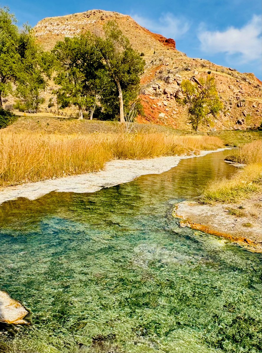 DMiller52325459's tweet image. Today we are putting a spotlight on the color GREEN. 💚

Share away my friends!