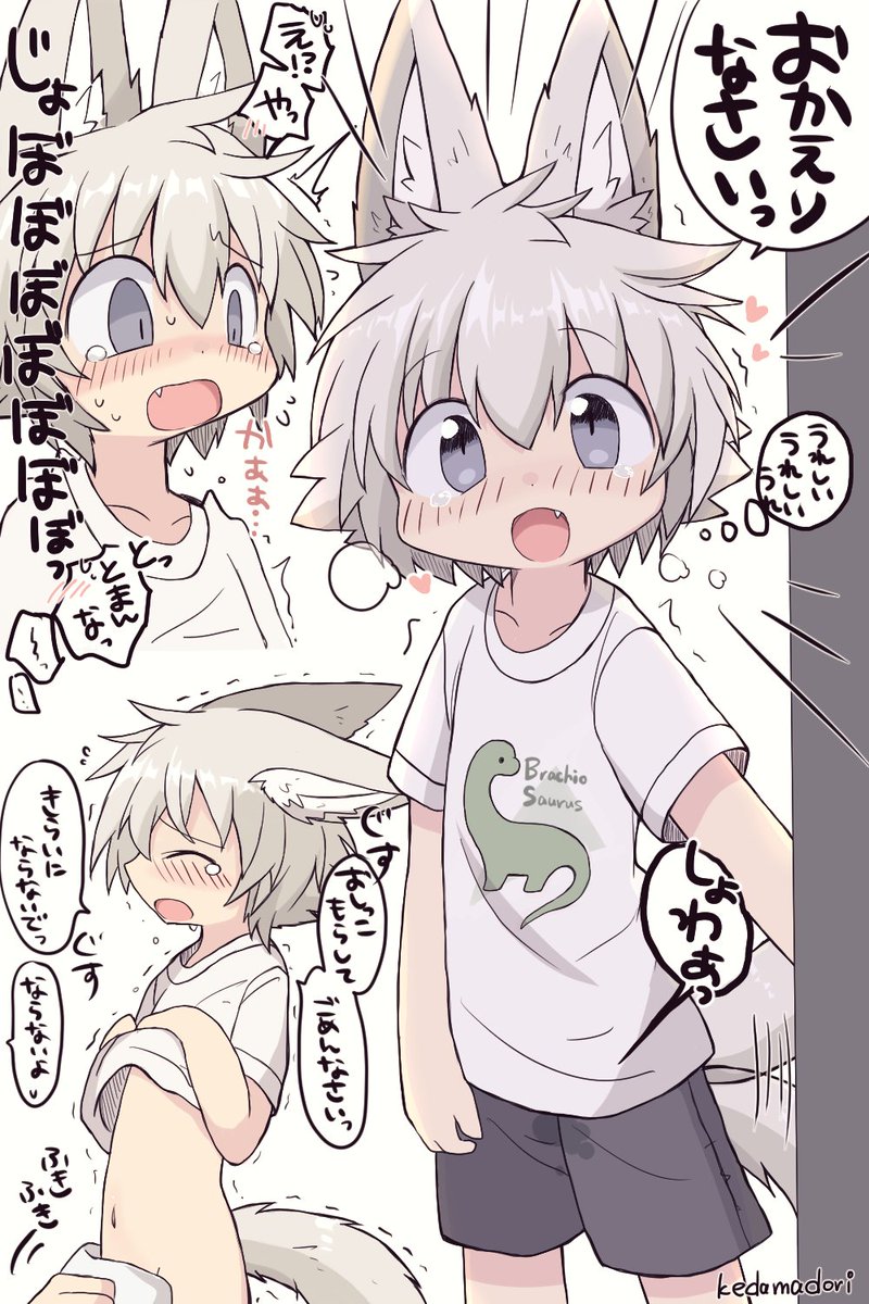 けだまどり◌˳˚🕊️ tweet media