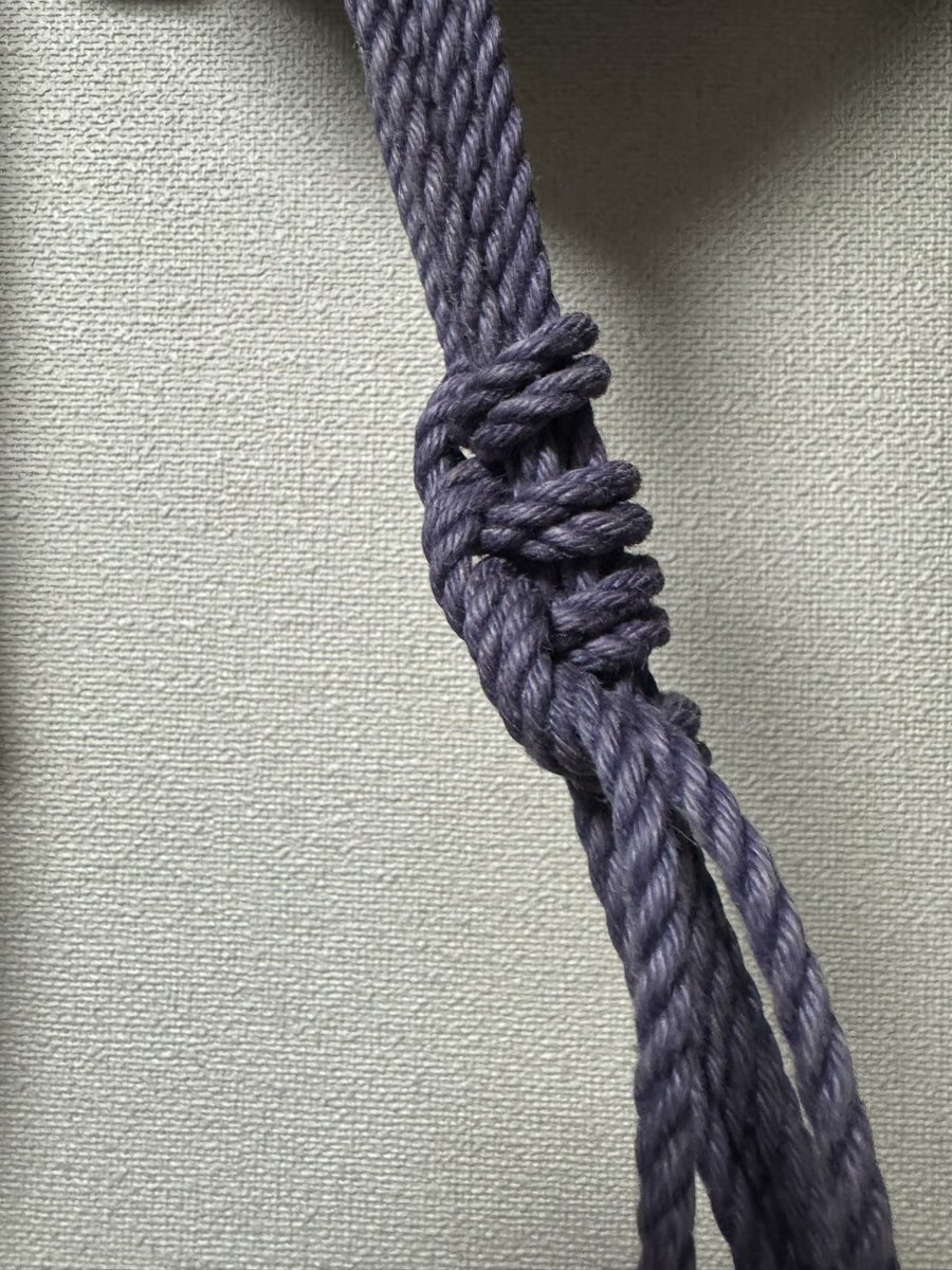 enjoyRope's tweet image. Self-Rope: @enjoyRope
Photographer: @enjoyRope
Community: #SelfTraining
Venue: #Home

#L字掛け
#自縛
#朝練
#セルフトレーニング
#EnjoysLehrundWanderjahre