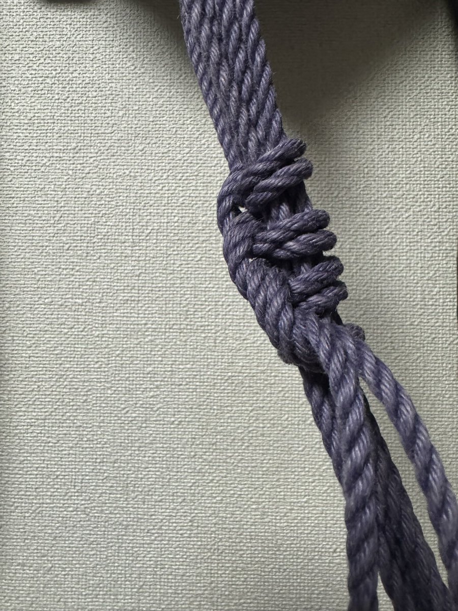 enjoyRope's tweet image. Self-Rope: @enjoyRope
Photographer: @enjoyRope
Community: #SelfTraining
Venue: #Home

#L字掛け
#自縛
#朝練
#セルフトレーニング
#EnjoysLehrundWanderjahre