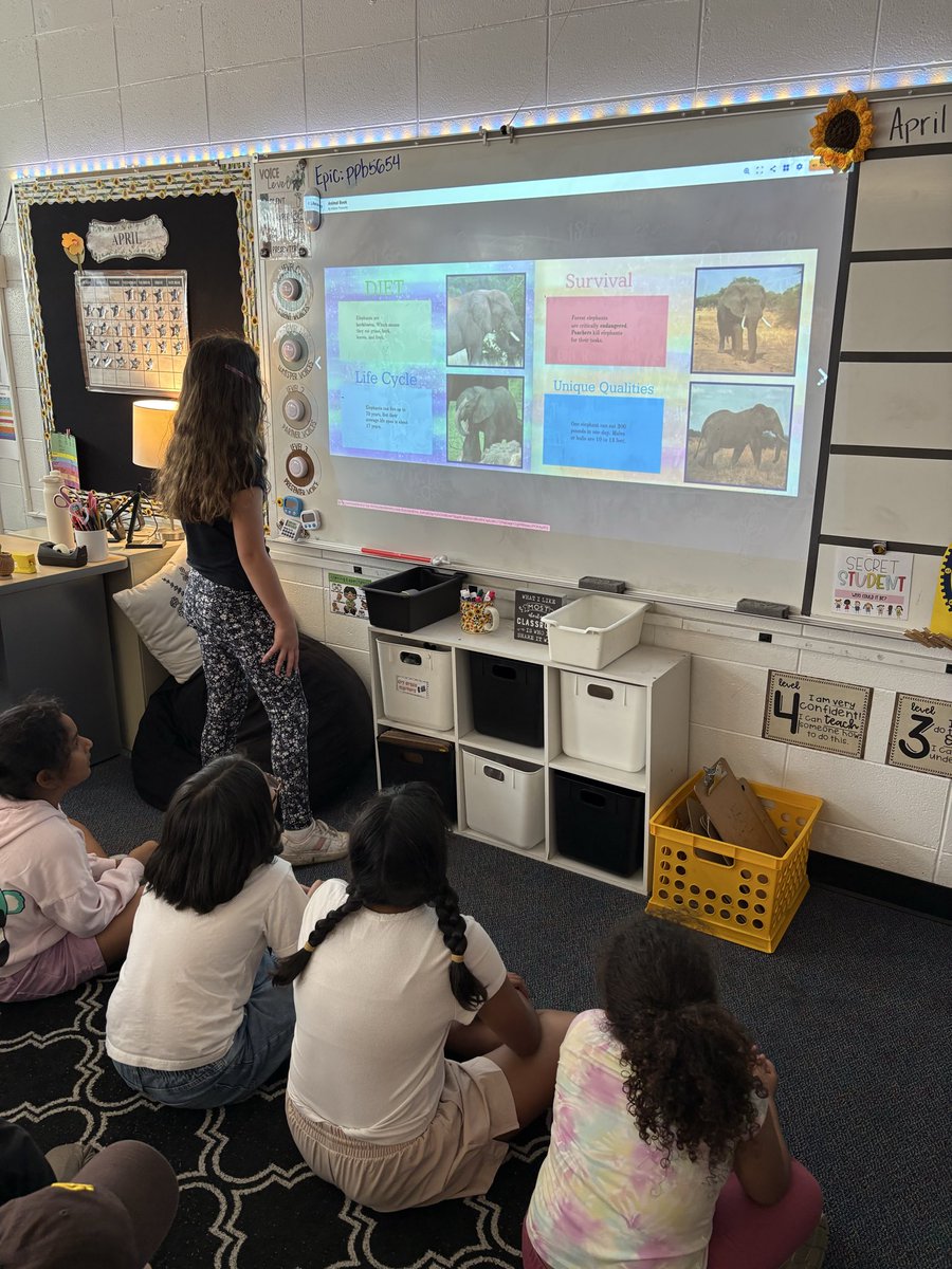 DahmClass3's tweet photo. Sharing our animal research books!
#ivyhillleague https://t.co/H1BY1KHWya