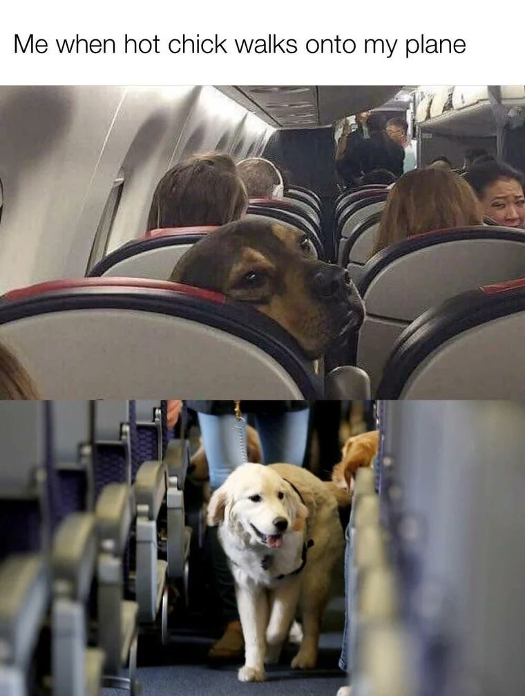 ImVeryFriendly ζ tweet media