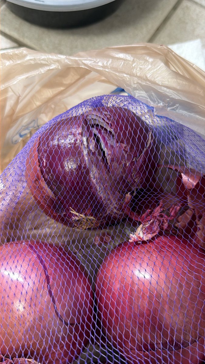 shreyas_sasle's tweet image. @DoorDash be delivering products like this and then refusing to provide refund. Customer service has stooped new lows!!

#doordash #damagedorders #poorservice