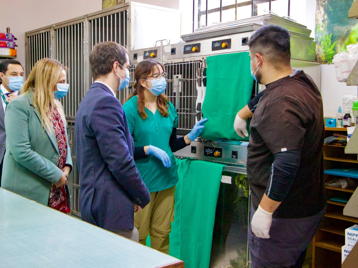 Seremi del Medio Ambiente Ñuble tweet media