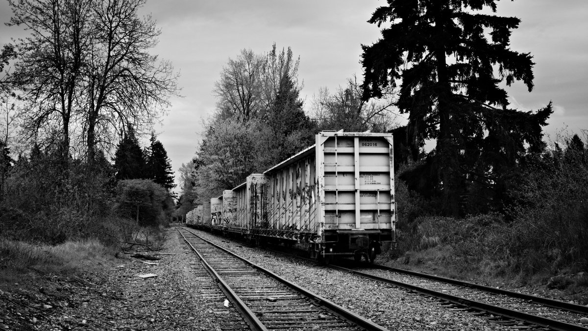 #blackandwhite
