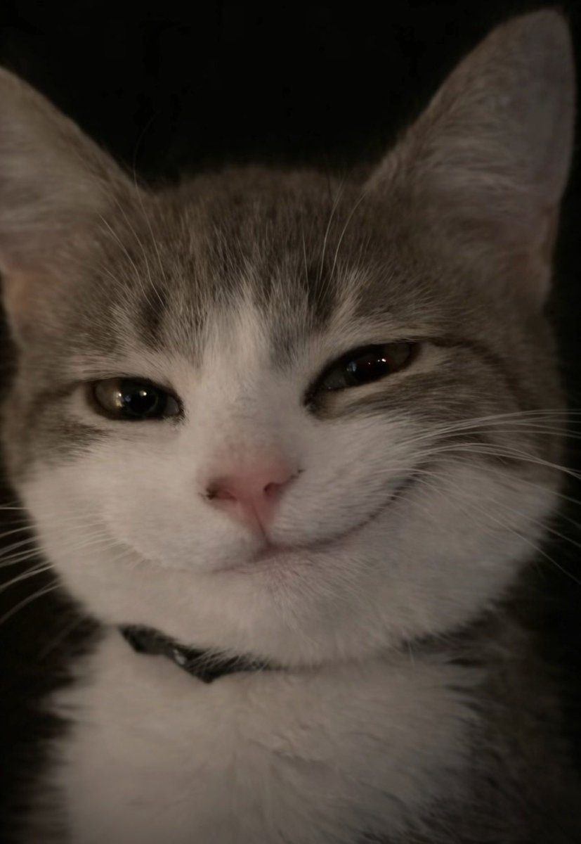 JustJess tweet media