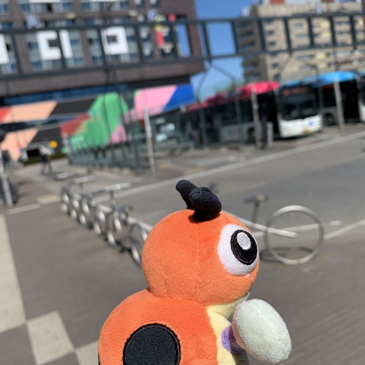 Baby Ledyba tweet media