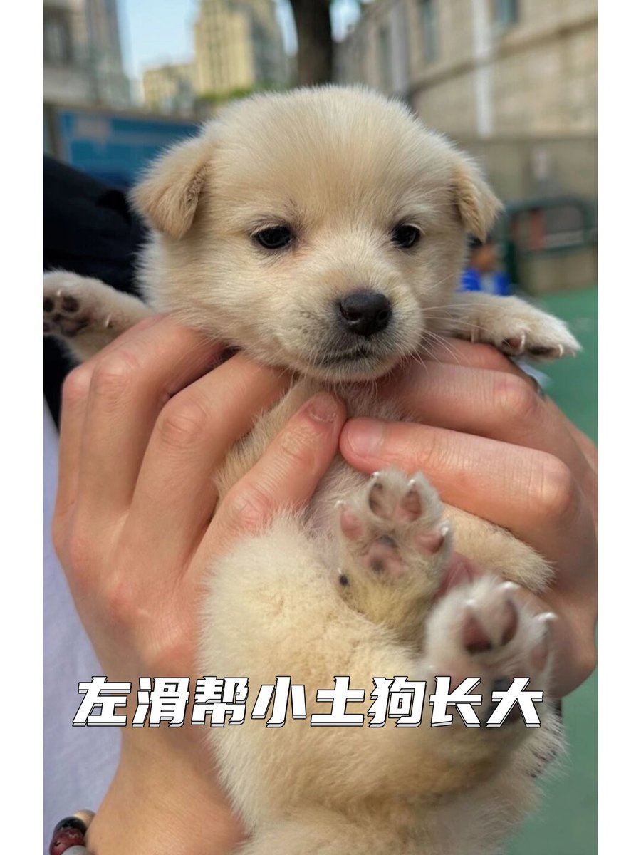 J Briggs tweet media