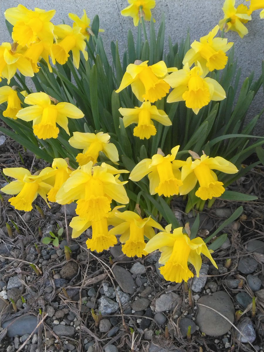 みず吉🐎北海道 tweet media