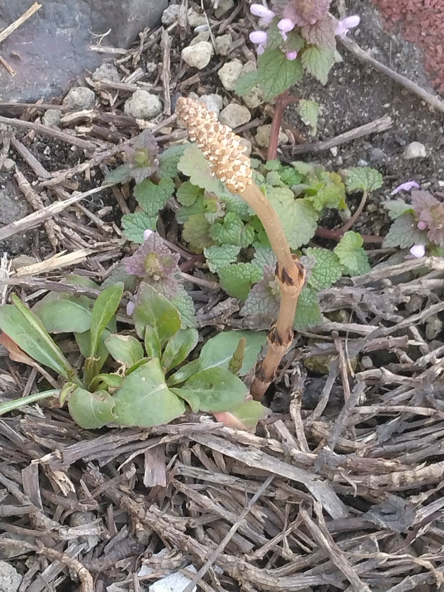 みず吉🐎北海道 tweet media