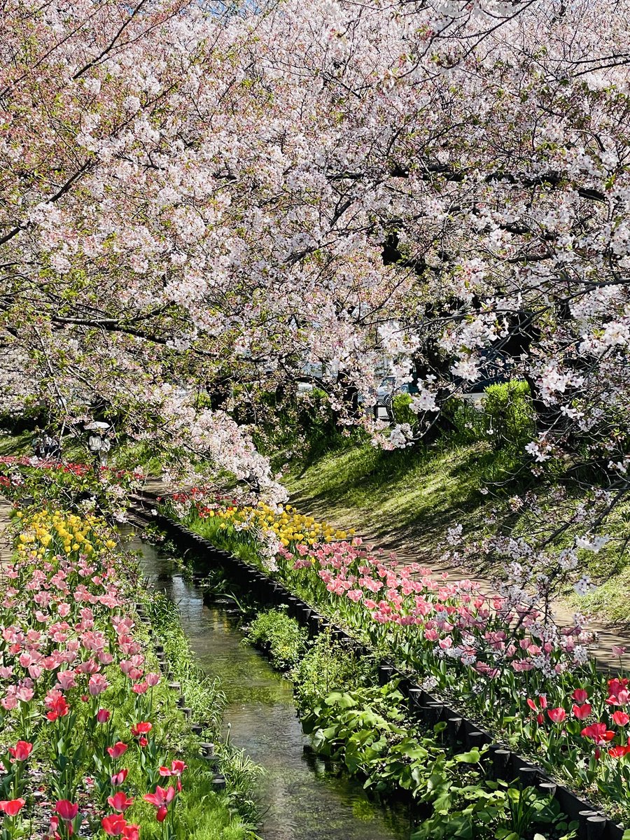 🍀おはようございます🍀