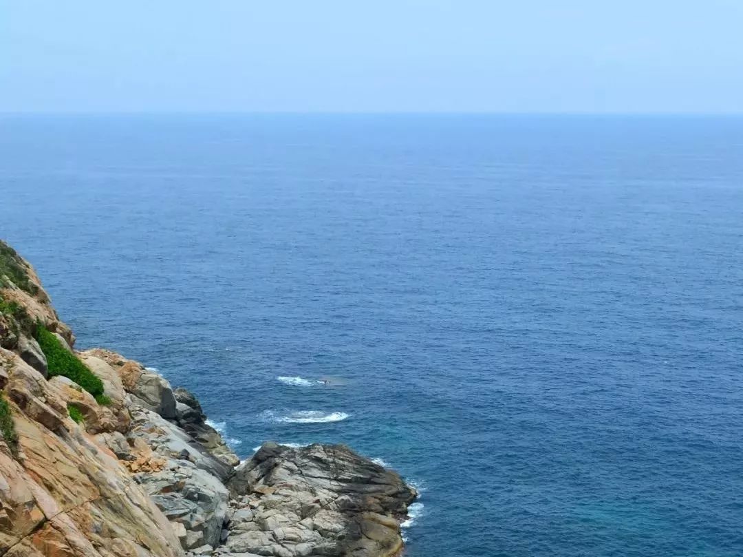 Fiona Cheung tweet media