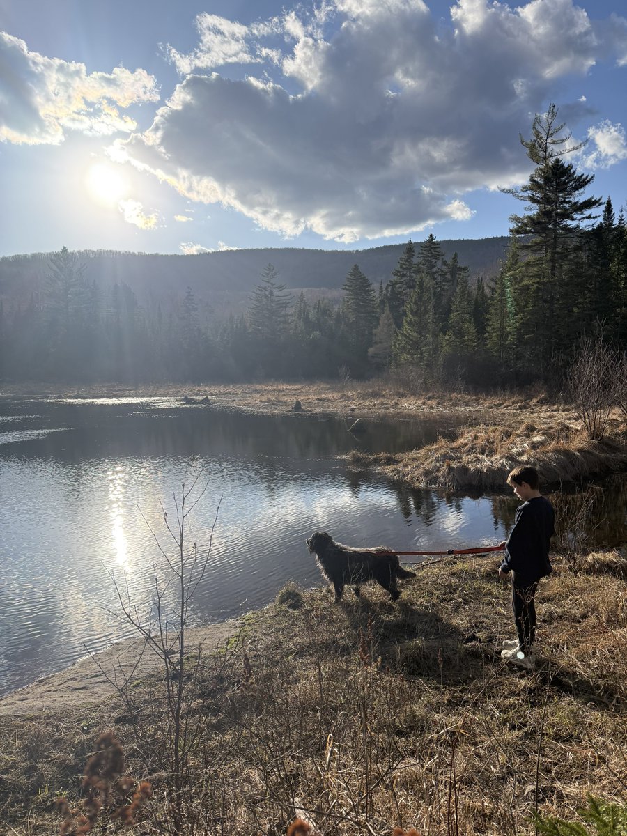 Just a boy and his dog patrolling their estate
