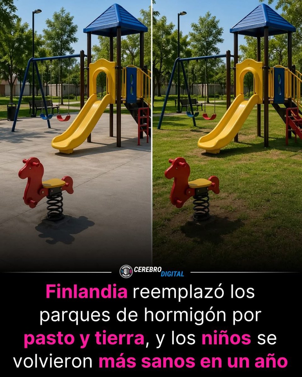 Richard tweet media