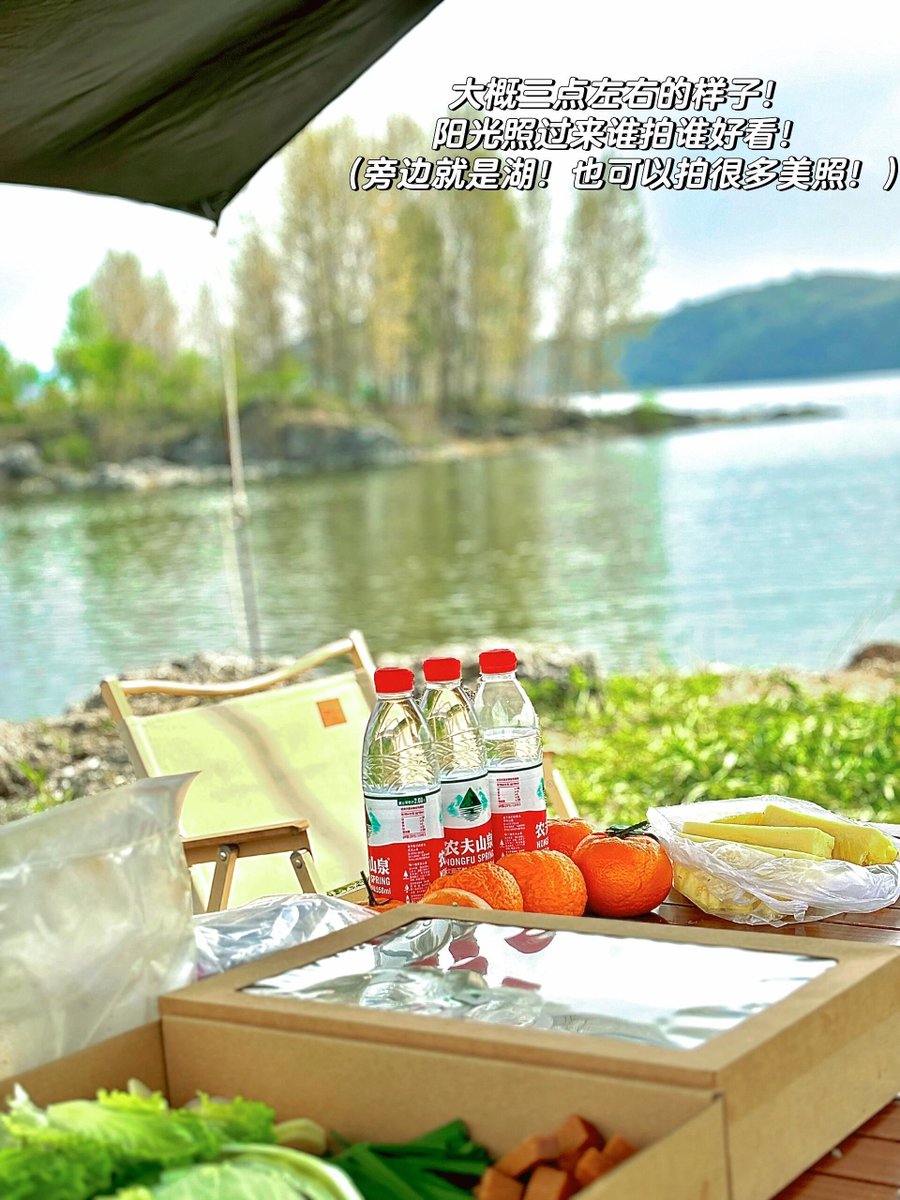 Monkey_Shit_Inu (MSI) tweet media