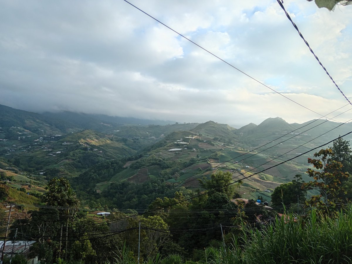 hellosnoopy tweet media