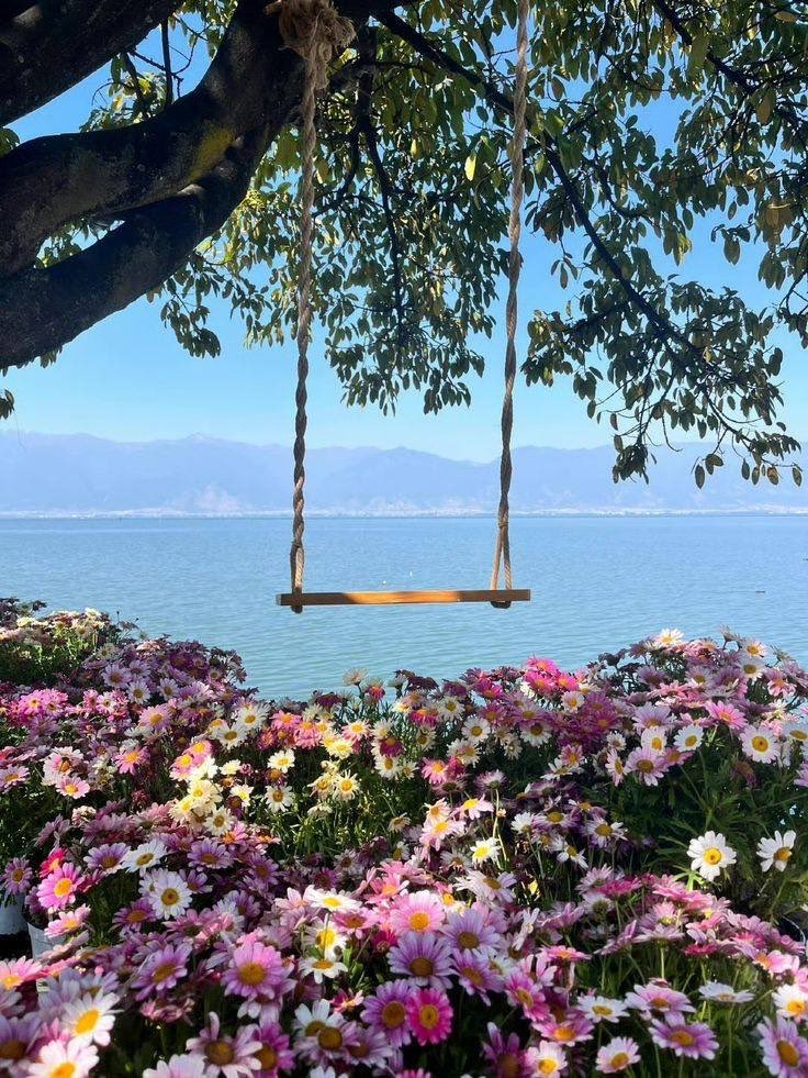 𝑙𝑦𝑟𝑎 tweet media