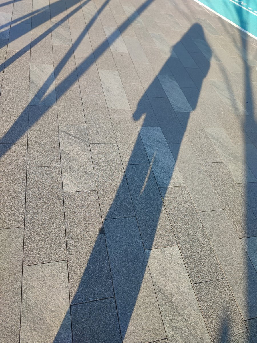 Theresemarbon@gmail.com tweet media