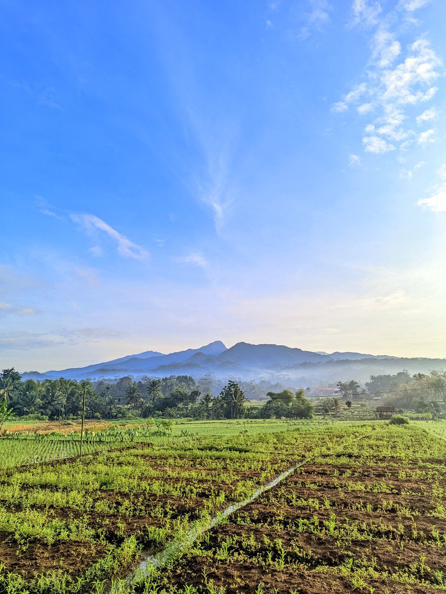 Morning guys, yang gak kebagian WFH tetep semangat ya😂

Kalo foto ini di kampung halaman istri di ciamis, lebih seger kalo pagi pagi buat jalan/lari