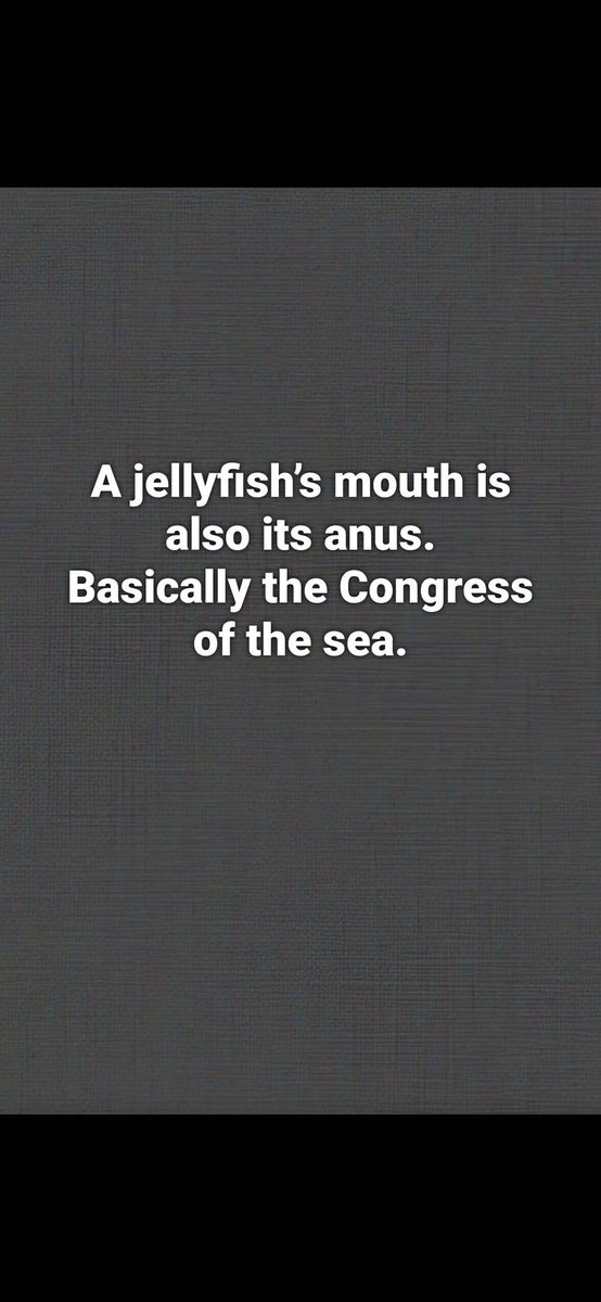 DavisD2021 (@axecapital21) on Twitter photo 