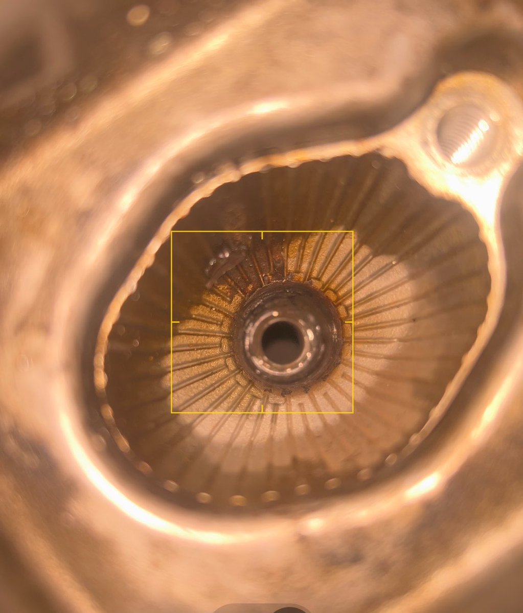 bitchassdeer . tweet media