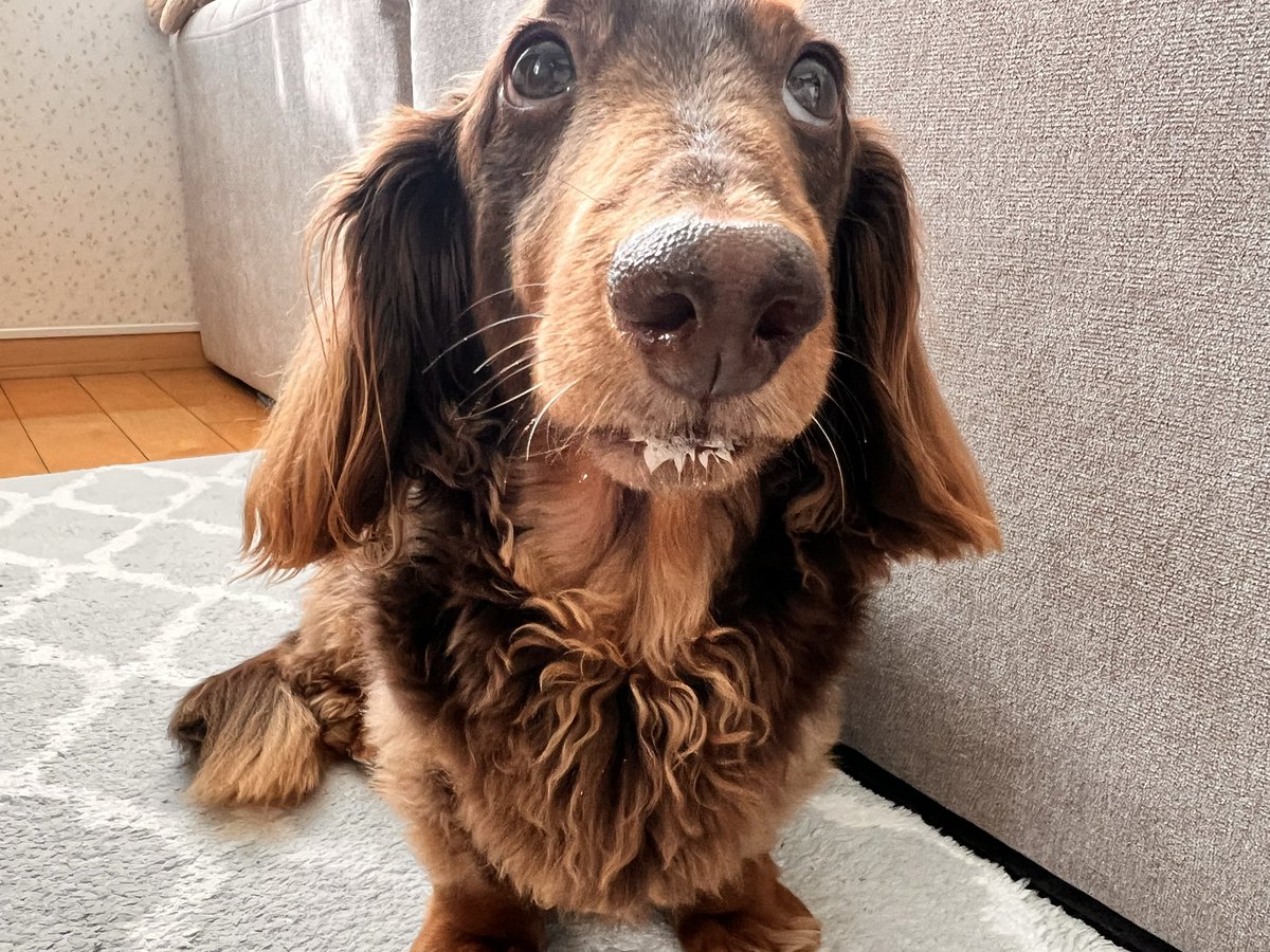 キースのママ😊 tweet media