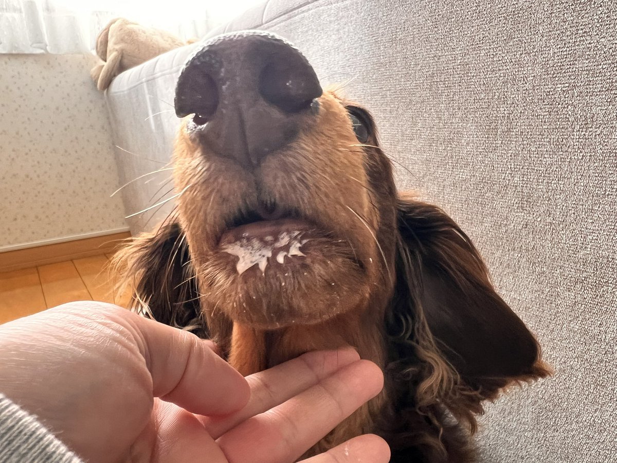 キースのママ😊 tweet media