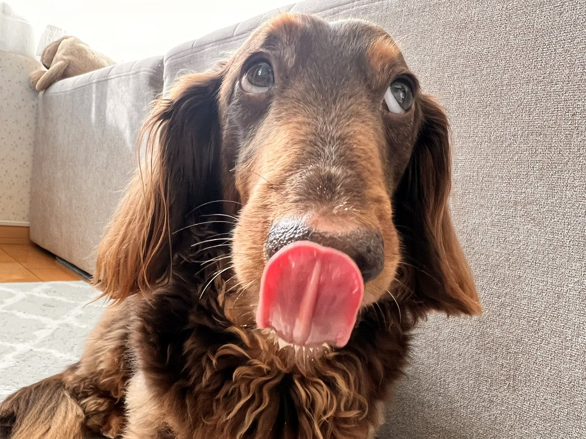 キースのママ😊 tweet media