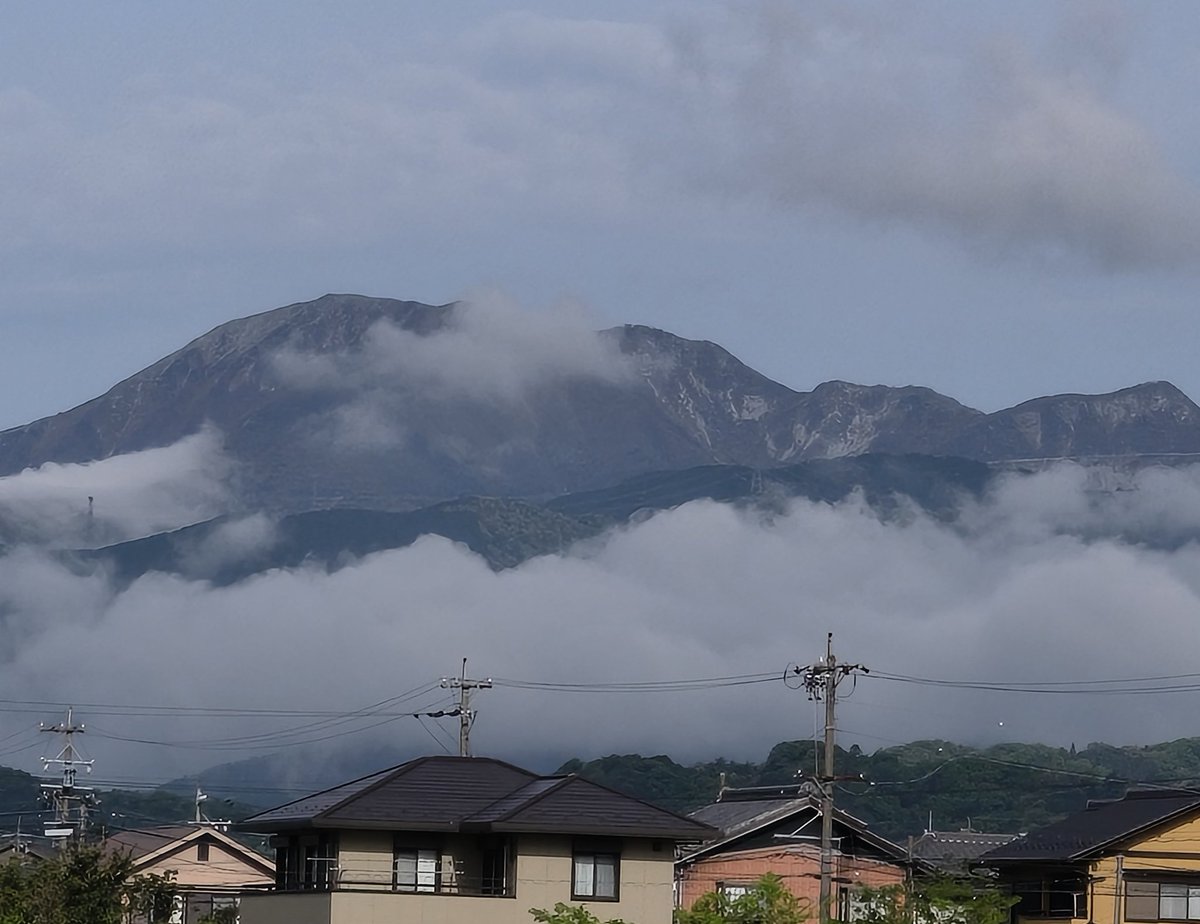 美濃のQ tweet media