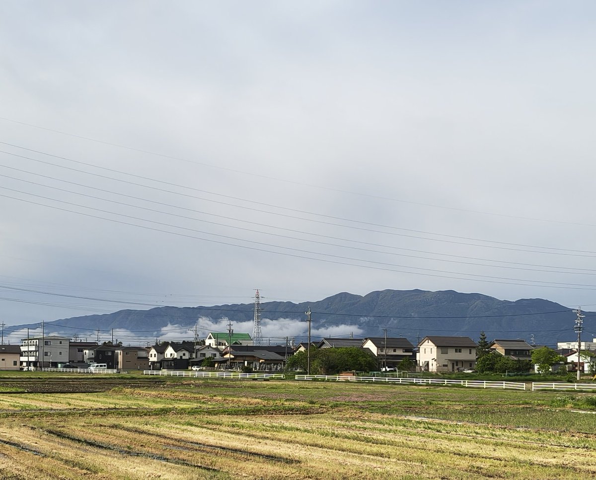 美濃のQ tweet media