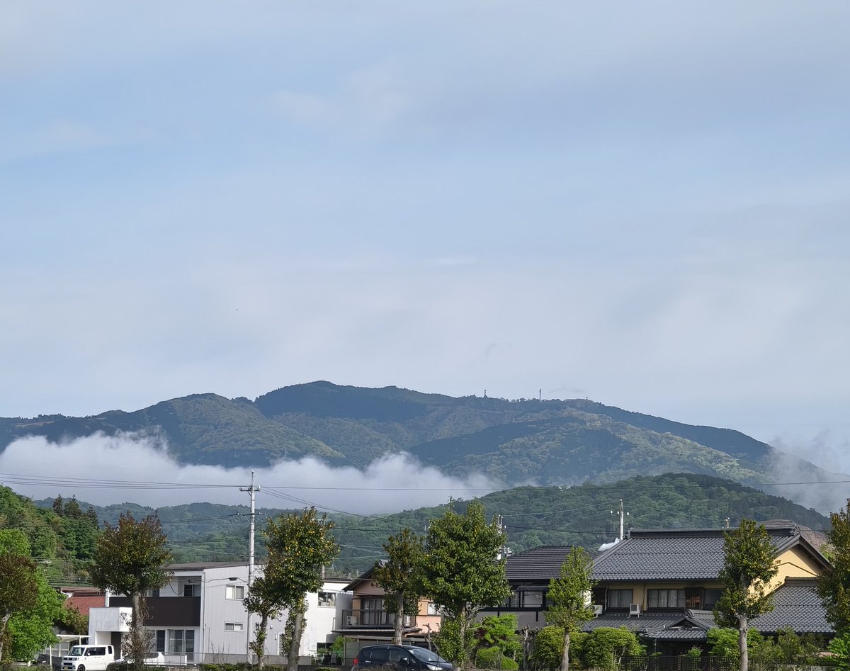 美濃のQ tweet media