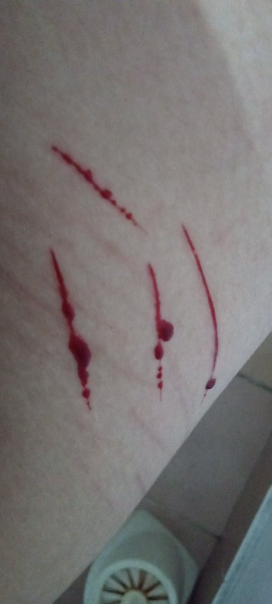 ★MERLO★ He/They/Him tweet media