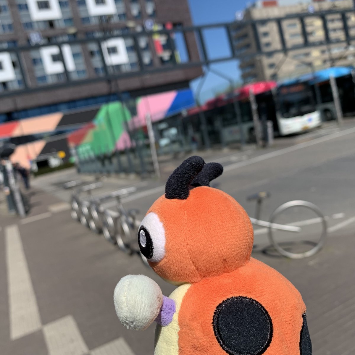 Baby Ledyba tweet media