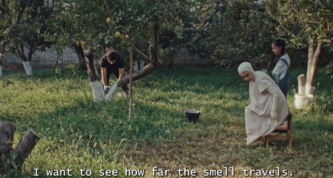 Deaf Crocodile tweet media