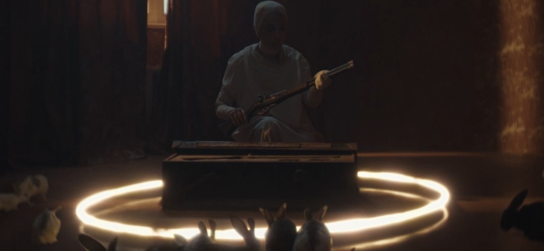 Deaf Crocodile tweet media