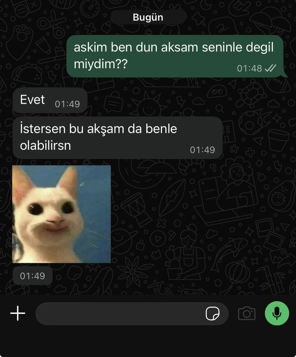elif ılgaz tweet media