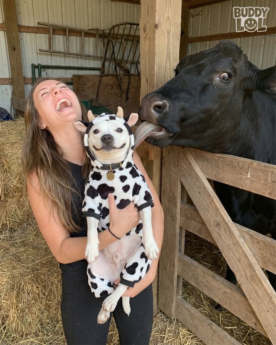 Interesting things tweet media