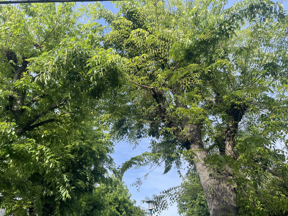 武内享 tweet media