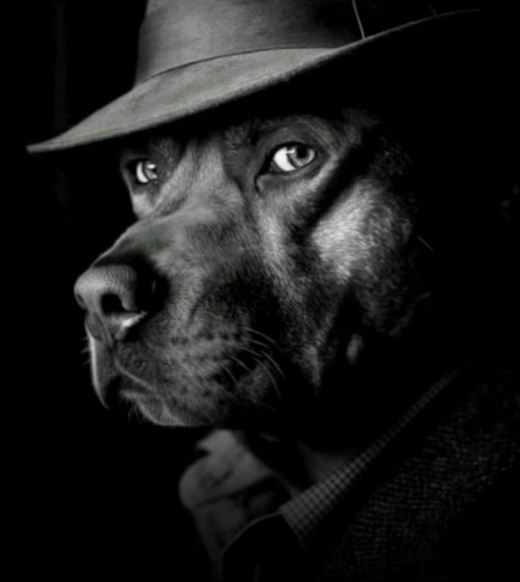 —` ℰ𝘮𝘮𝘢𝘯𝘶𝘦𝘭 𝒮. tweet media