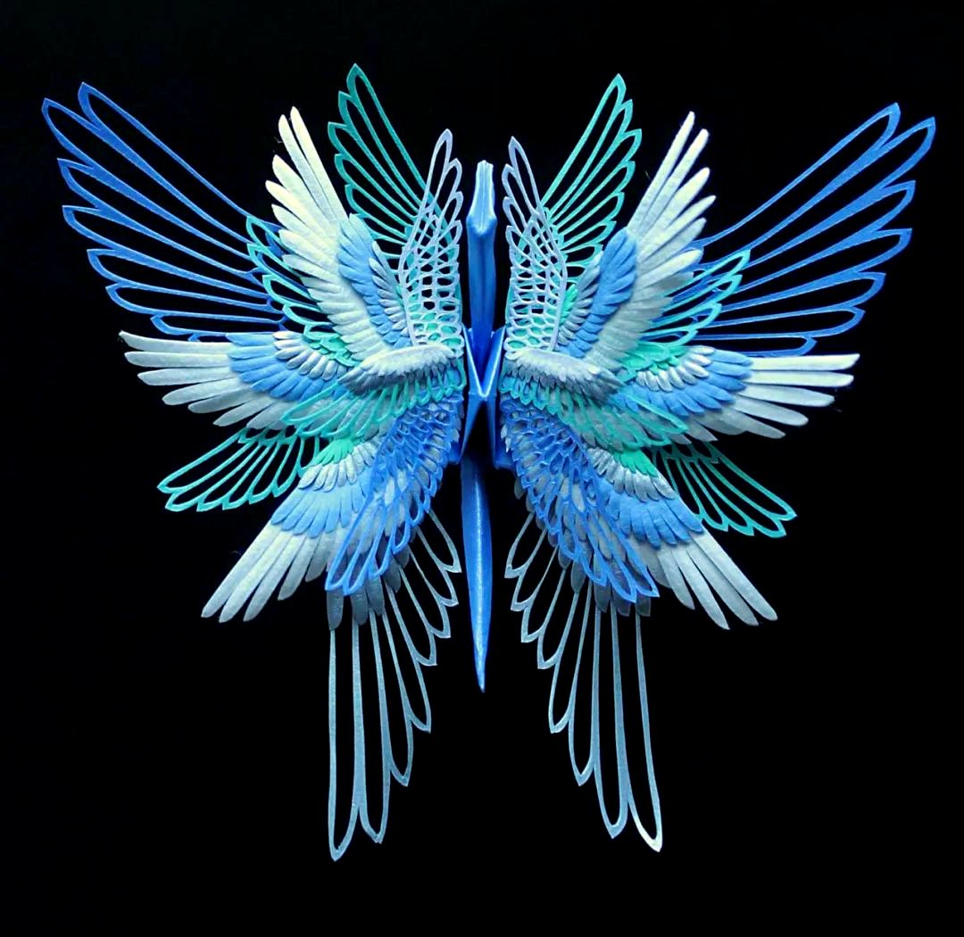 Cody Klimkofski tweet media