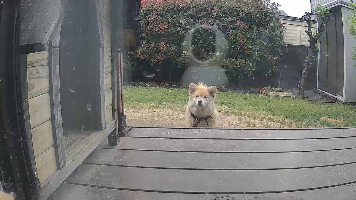 おはよ。カメラの範囲の外だったので呼んだら来た。すごい耳いいね。