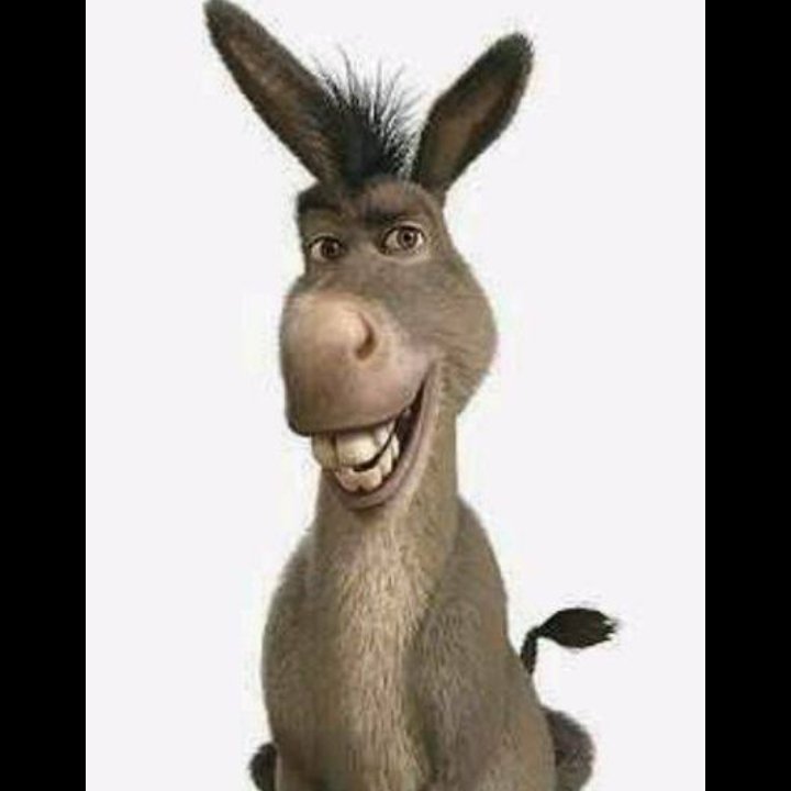 الوحيدي tweet media