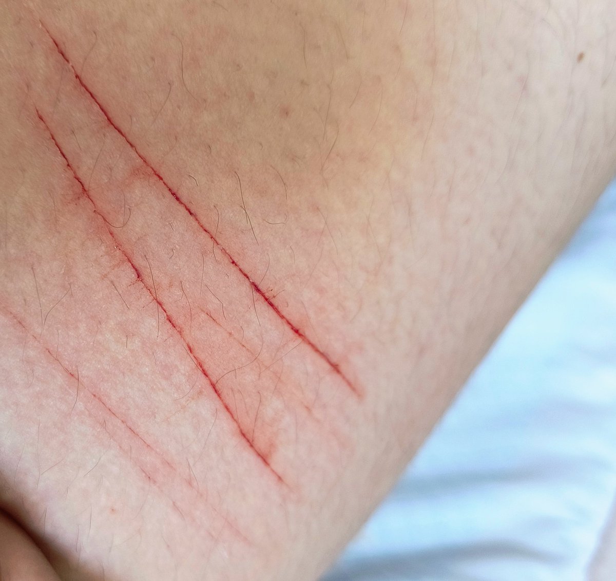 Kuranami(⁠人⁠*⁠´⁠∀⁠｀⁠)⁠｡⁠*ﾟ⁠+ tweet media